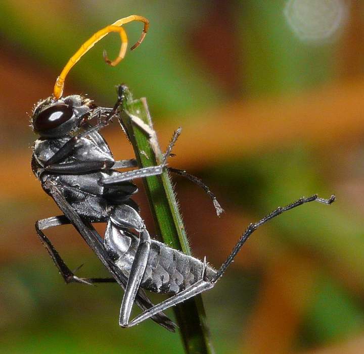 Nice And Light Again