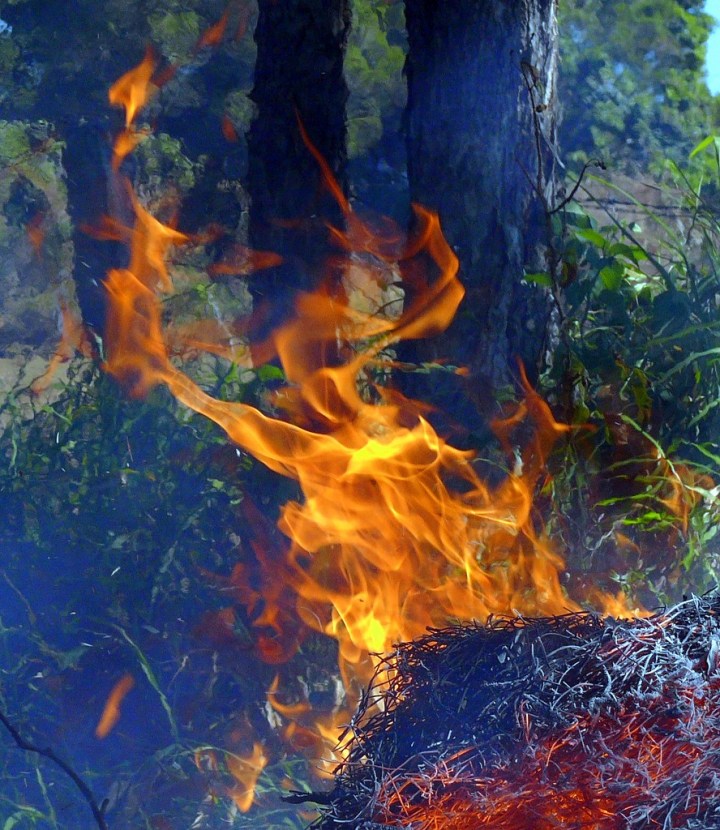 p1060150 A Little Fire