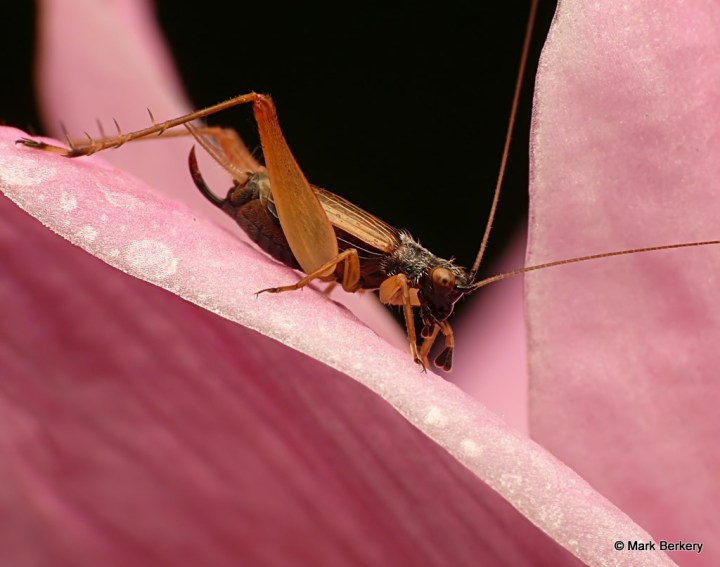 P2040896_MarkBerkery