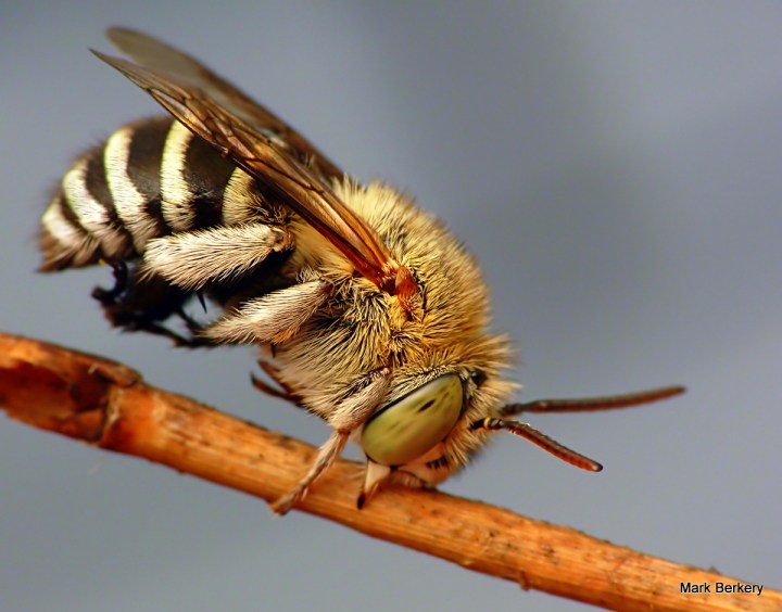 P1070489 - Mark Berkery