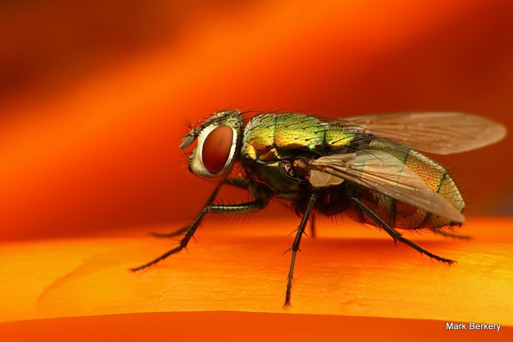 5-P1030326 - Mark Berkery