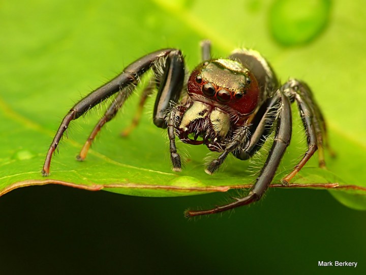 1-P1030352 - Mark Berkery