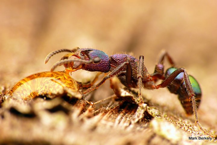 P1080291 - Mark Berkery