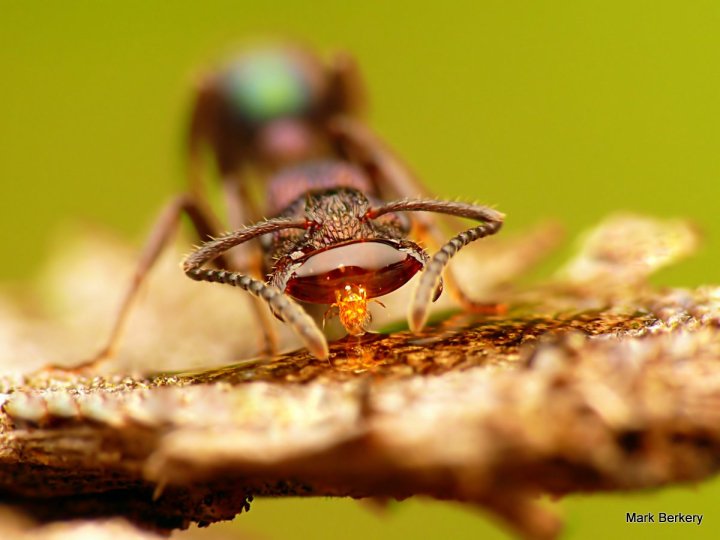 P1080367 - Mark Berkery