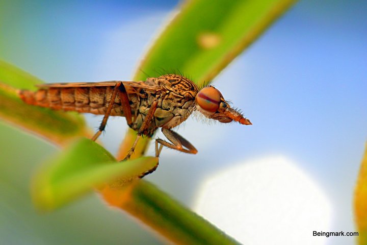 P1080597-001 - Mark Berkery