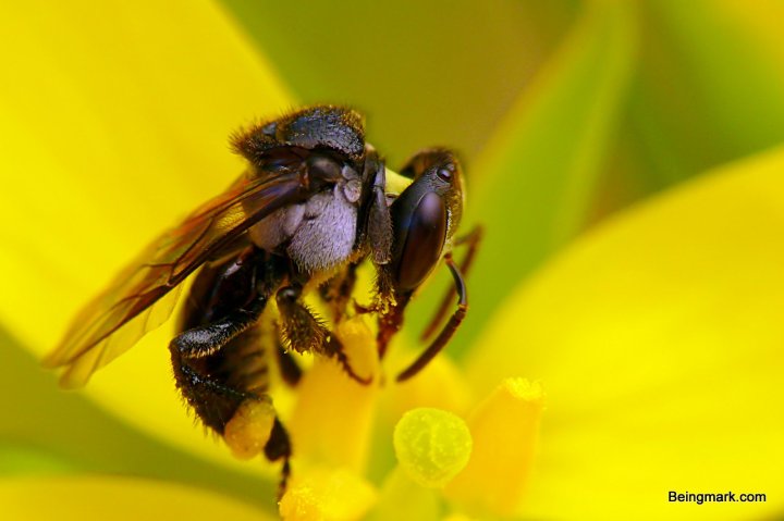 P1080681 - Mark Berkery