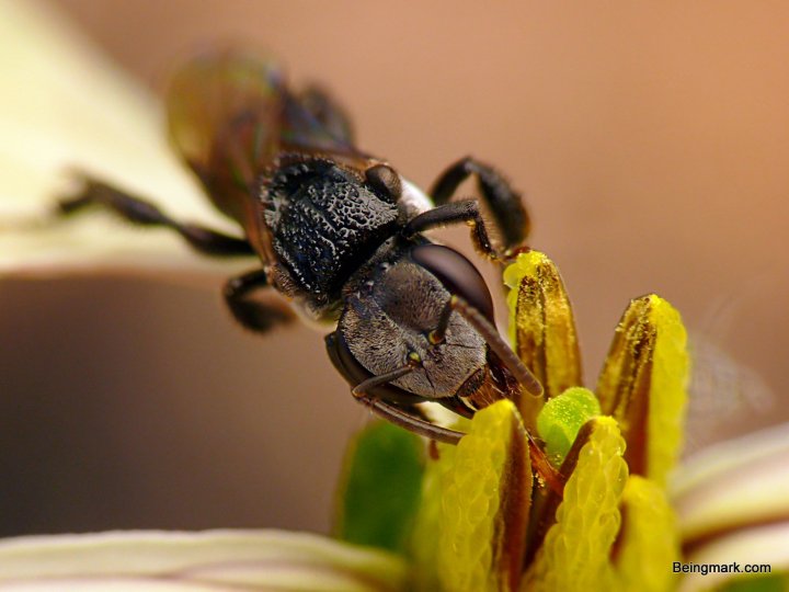 P1080689 - Mark Berkery