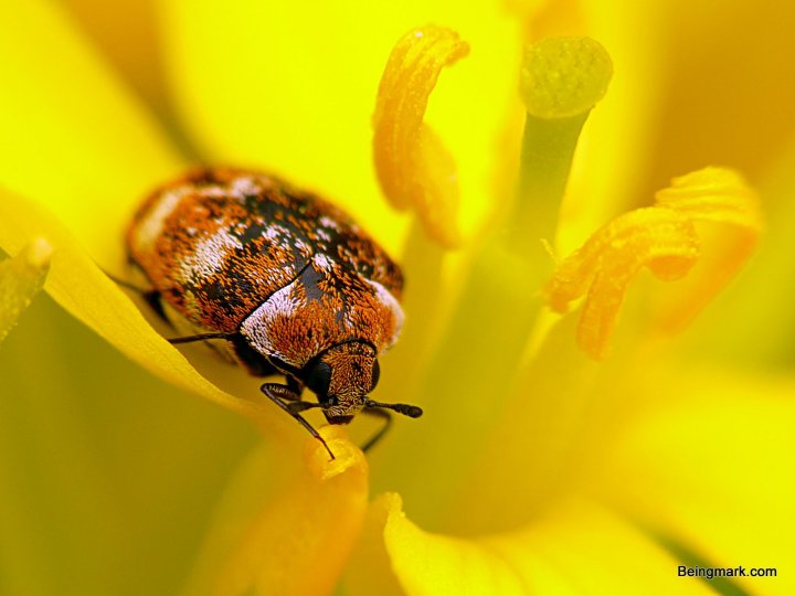 P1080711 - Mark Berkery