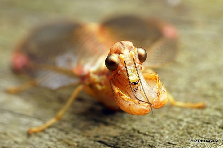 P1100412_filtered-001