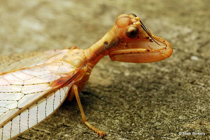 P1100431_filtered-001