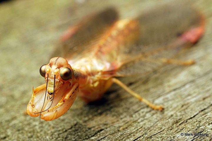 P1100451_filtered-001