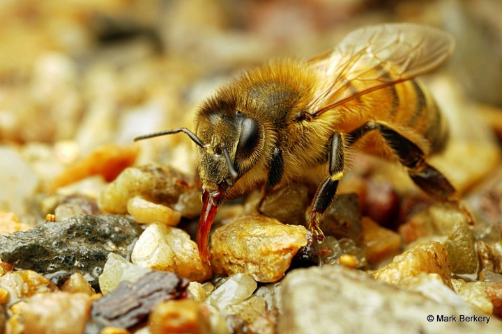 P1100346_filtered-001