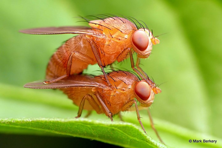 3-2 - P2240084_filtered Mark Berkery