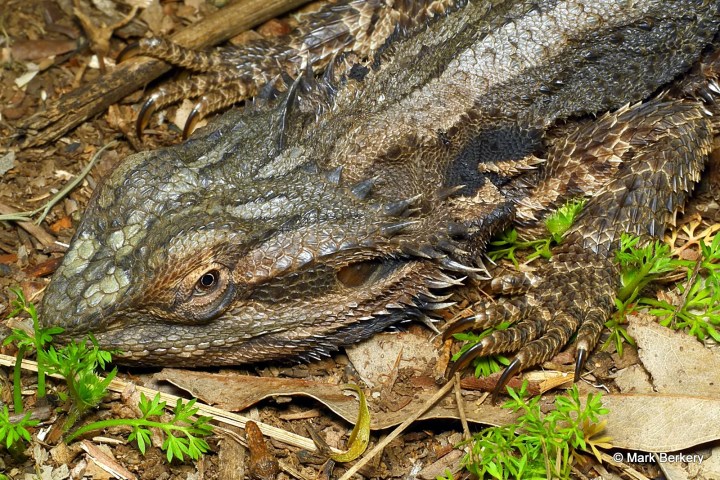 p1180823_mark-berkery_filtered-ni_2