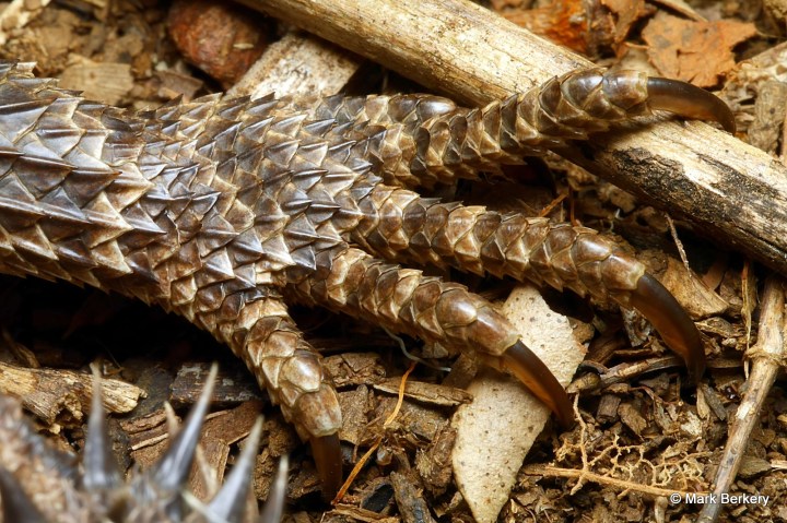 p1180836_mark-berkery_filtered-ni_2