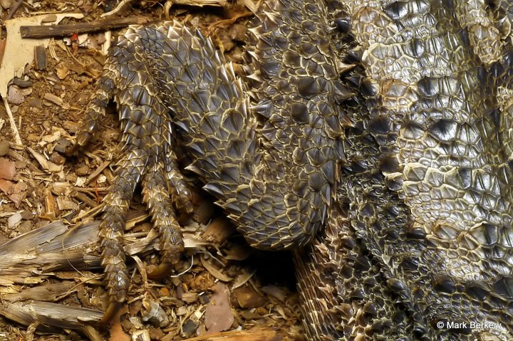 p1180876_mark-berkery_filtered-ni_2