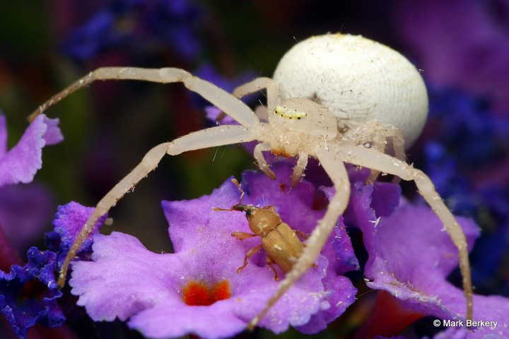 p1210129a_mark-berkery_filtered-ni_2